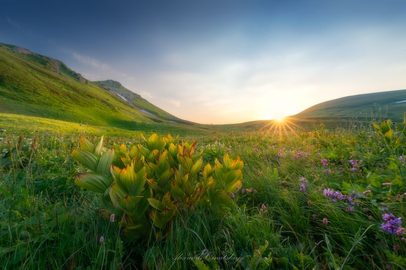 фото превью