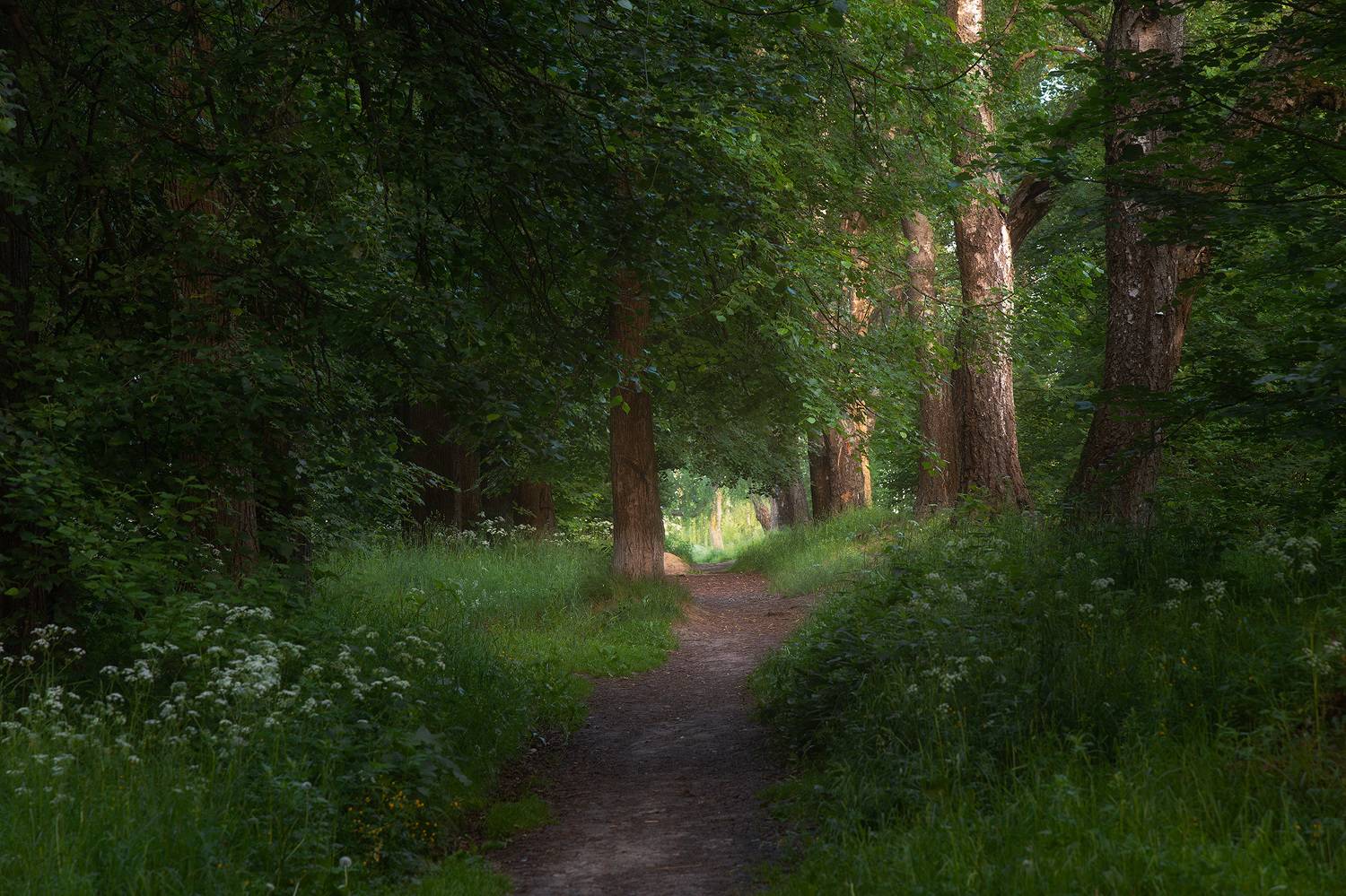 , Костенко Александр