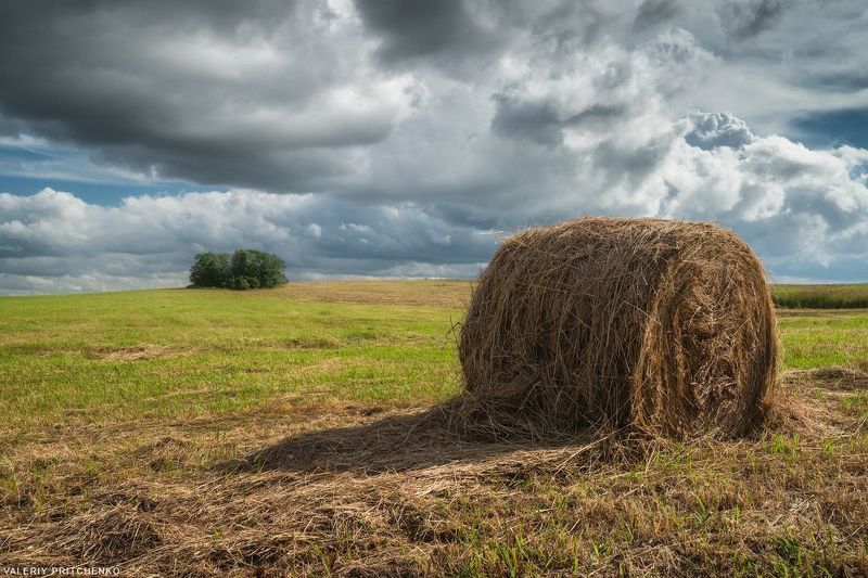 лето, сенокос, природа, поле, пейзаж, сено, небо, landscape, nature, sky, summer, clouds Сенокос фото превью