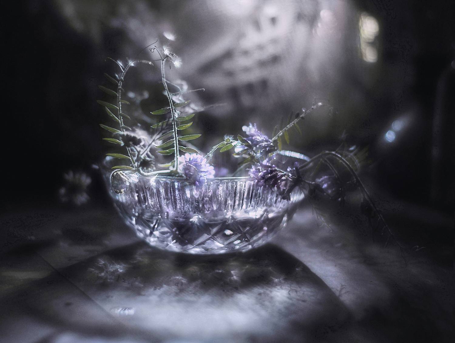 , Буглак Инна