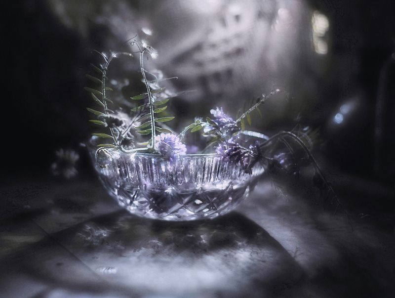 Всё так хрупко под луной фото превью