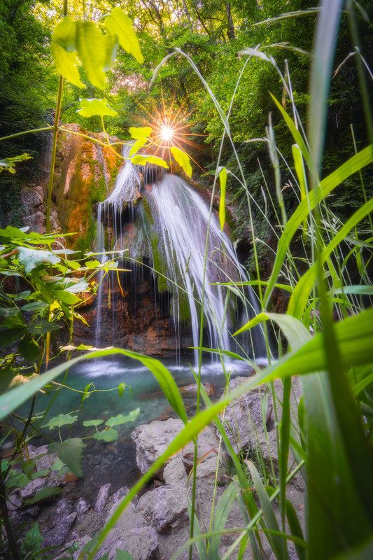 Крымские Джунгли фото превью