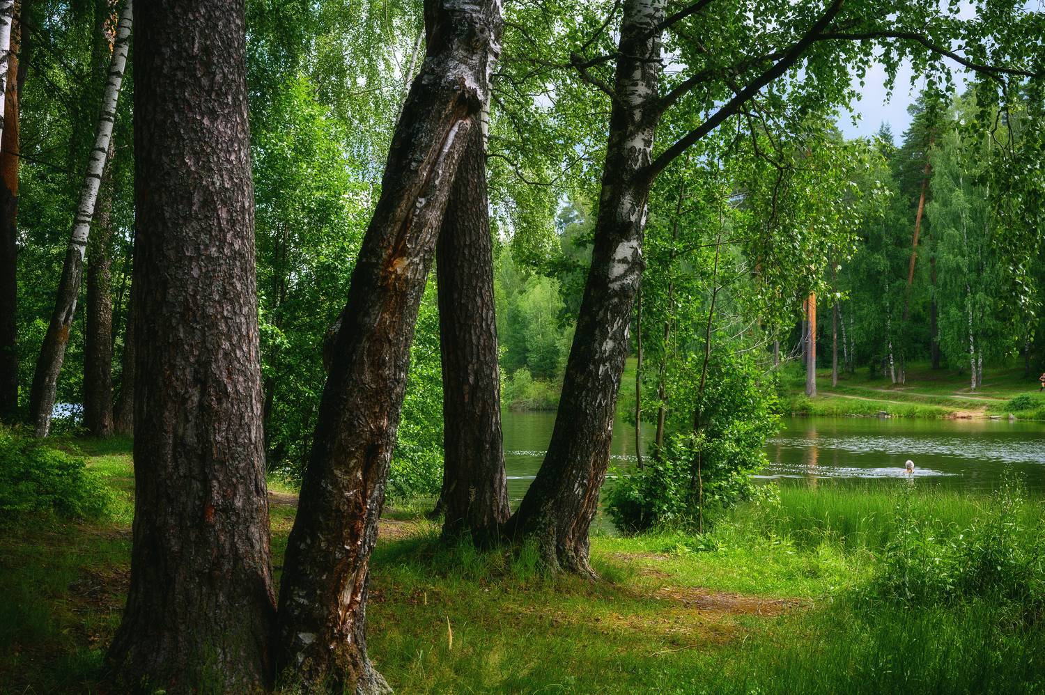 , Нуждин Андрей