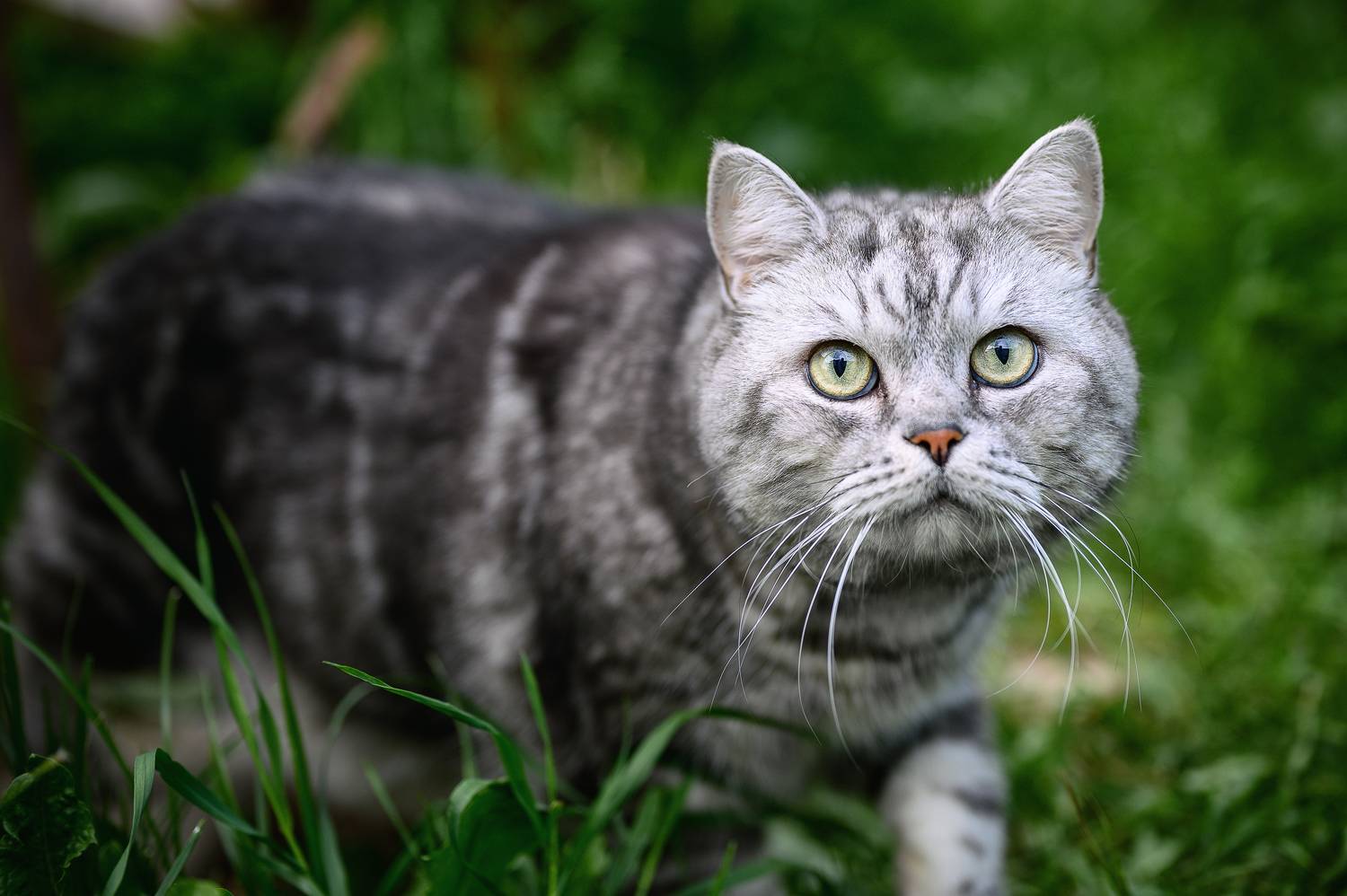 , Нуждин Андрей