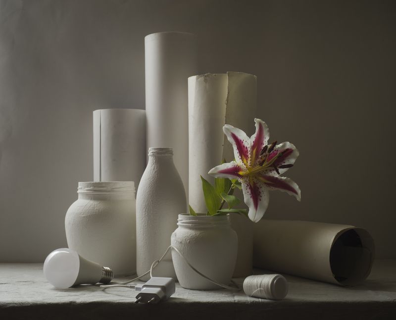 Расцвела под окошком лилия. фото превью