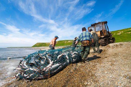Рыбалка на Командорах
