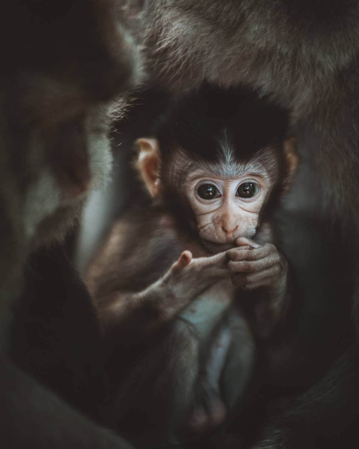 , Слава Азаров