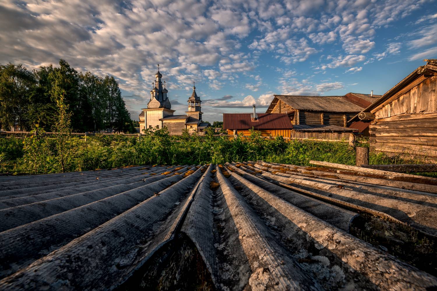 , Максим Евдокимов