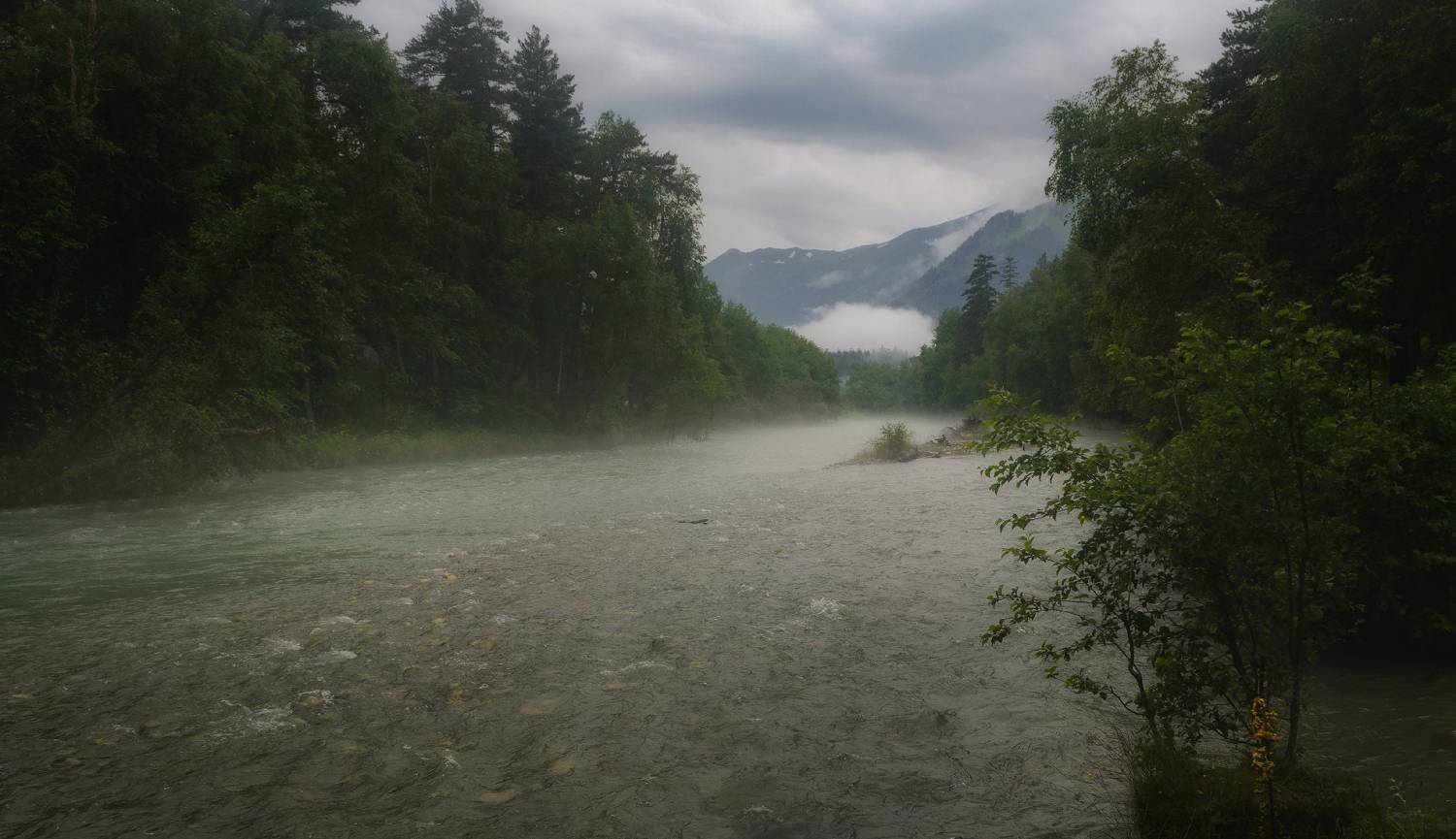 , Сергей Лысенко