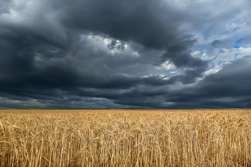 Крым, район села Тургеневка, гроза так и не пришла. 2024 фото превью