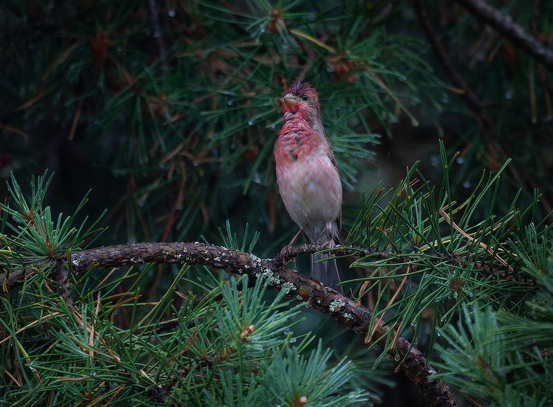 Вижу Витю!!!!!! фото превью