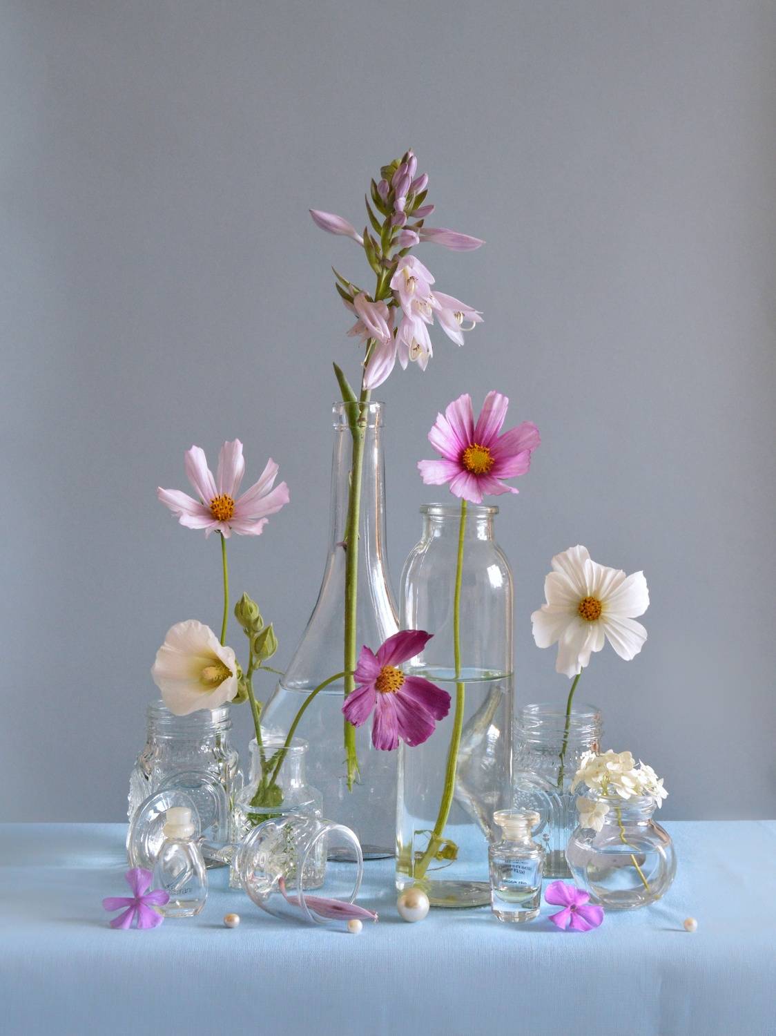 , Дина Полухина