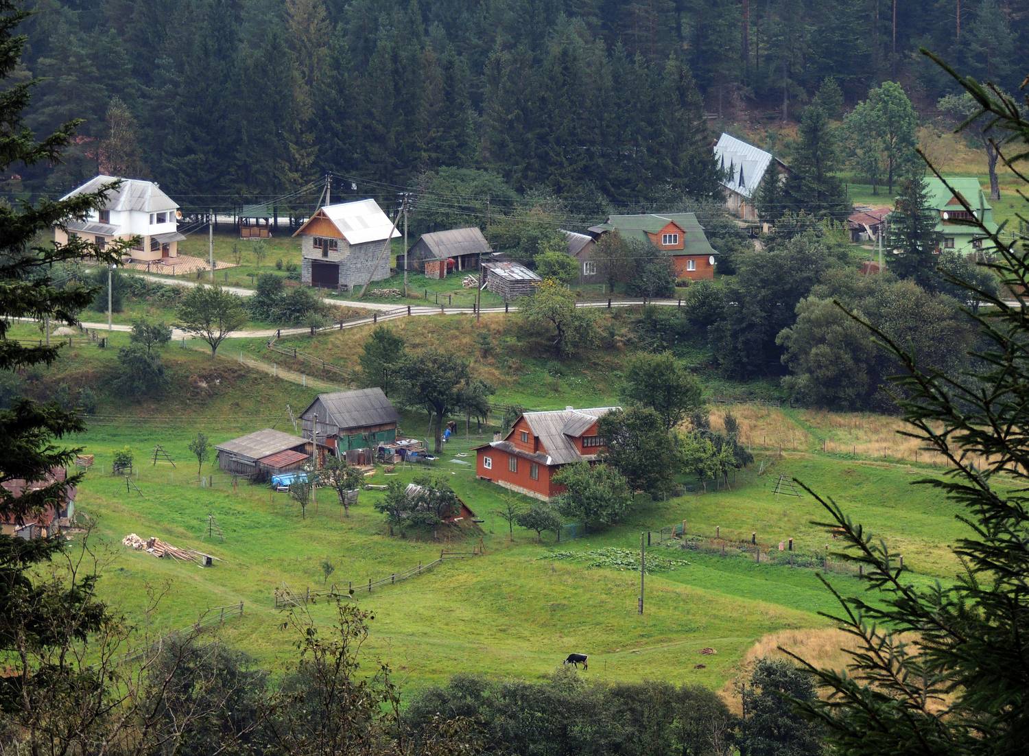 , Савоцкий Роман