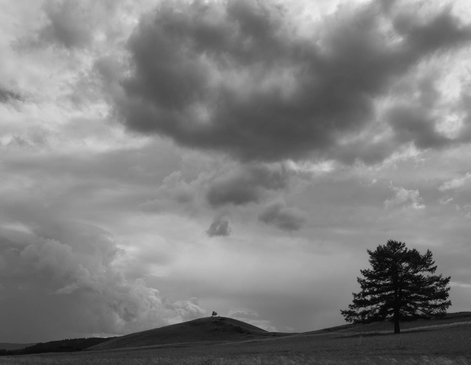 , Дмитрий Шустиков