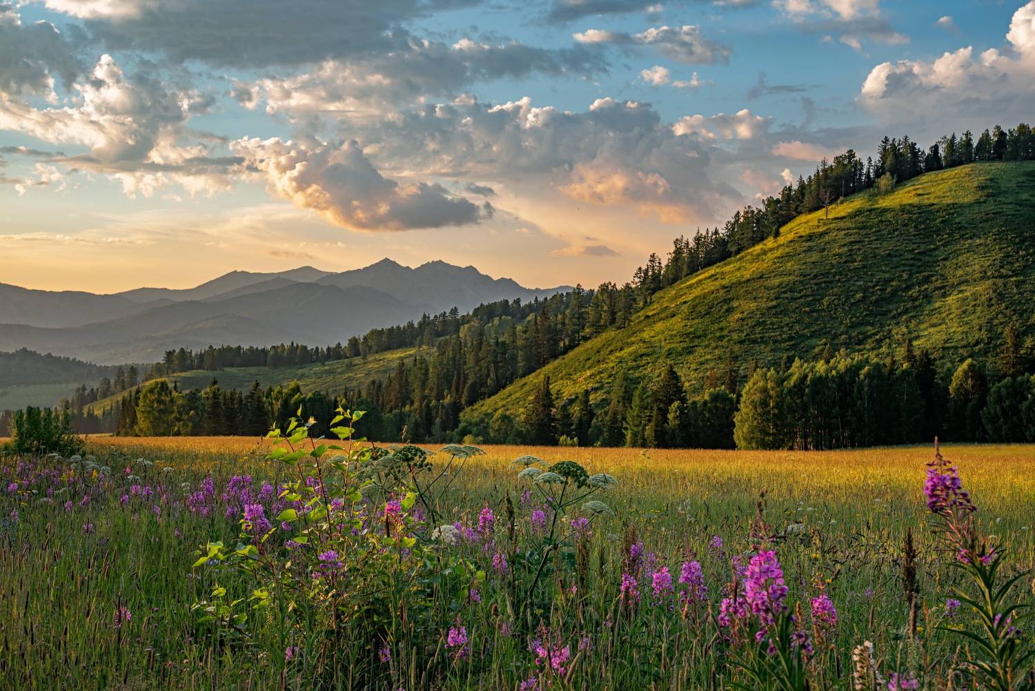алтай горы, Евгений Дроботенко