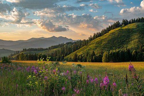 Алтайский закат