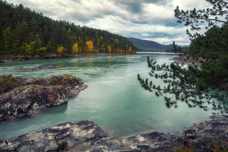 Катунь фото превью