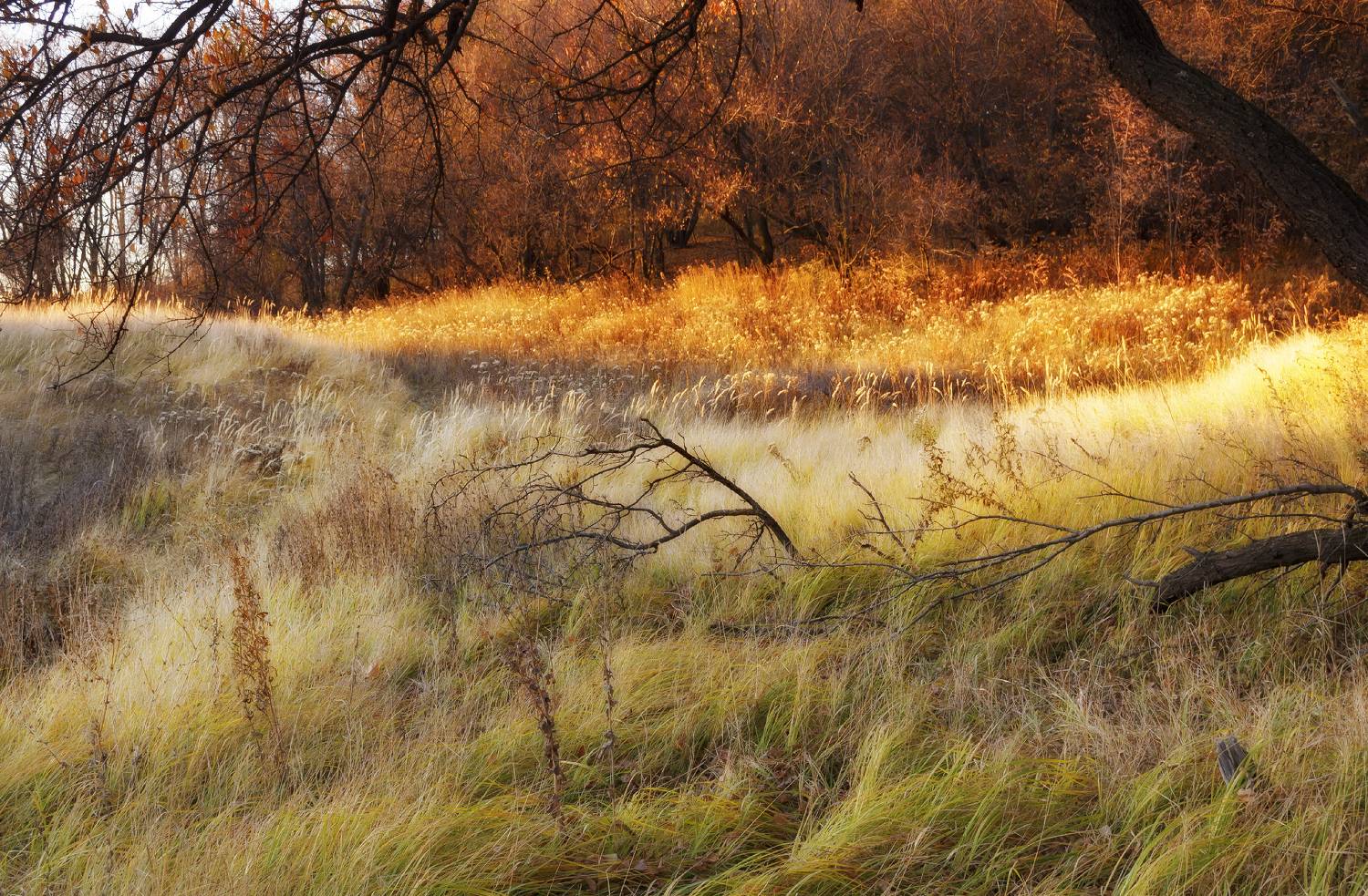 , Сергей Лысенко