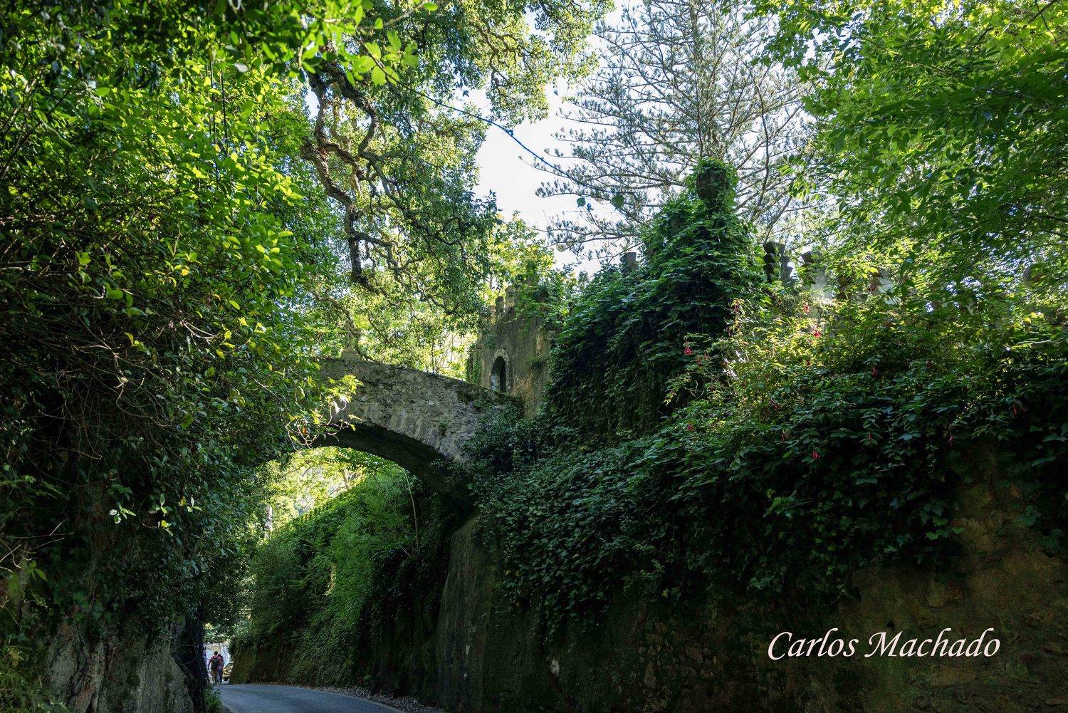 Nature, Landscapes, , Machado Carlos