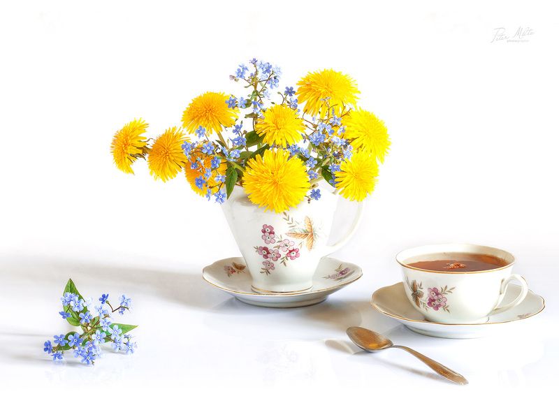 На белом фото превью