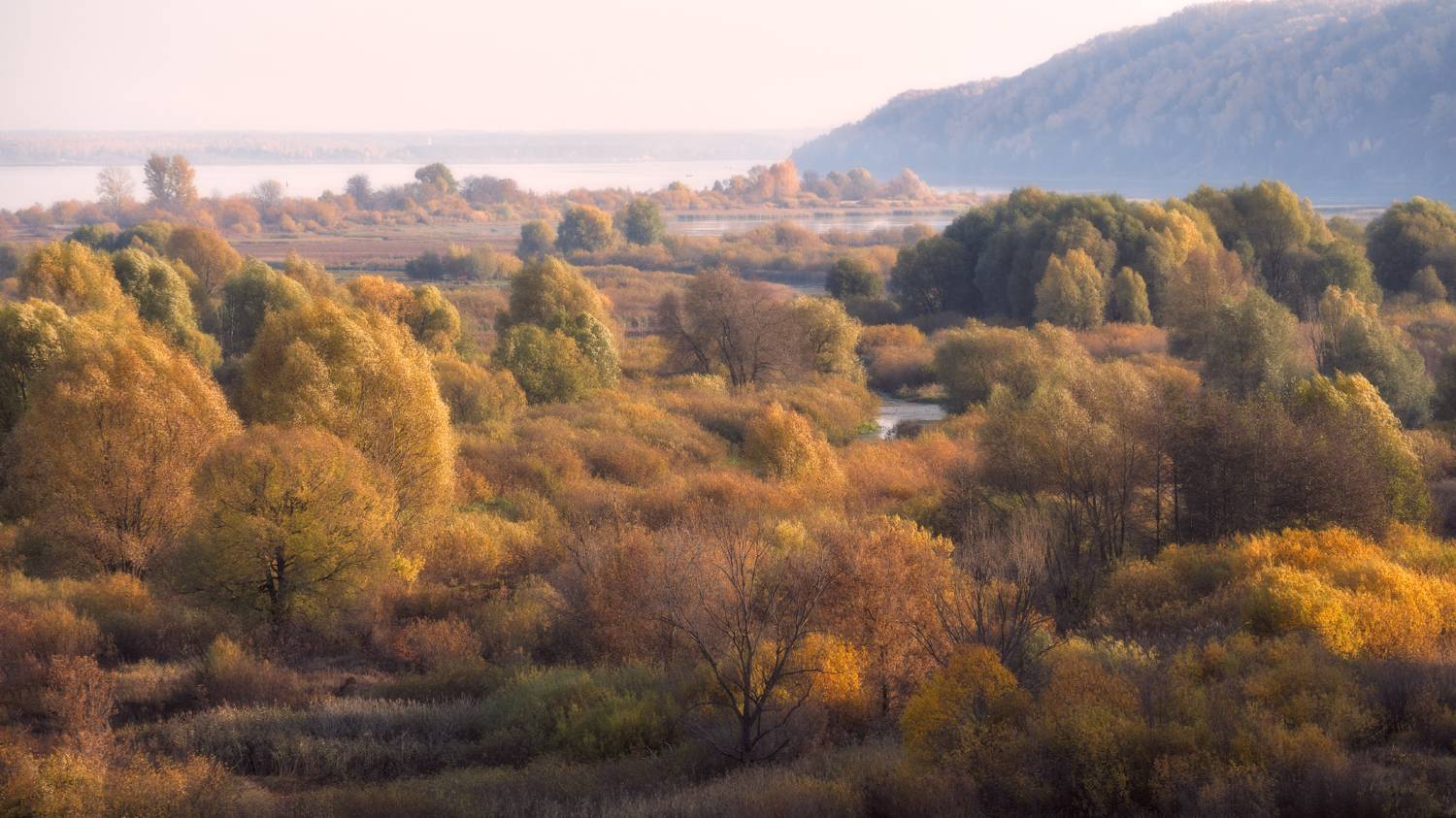 осень, река, деревья, лес, Колесов Андрей