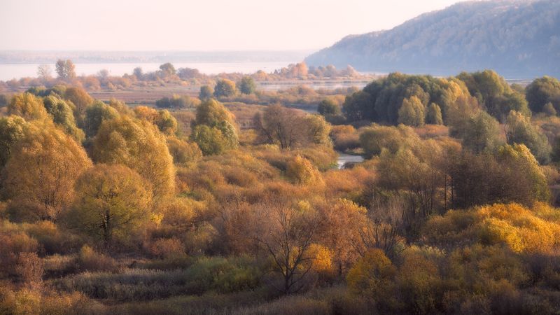 осень, река, деревья, лес Октябрьское утро фото превью