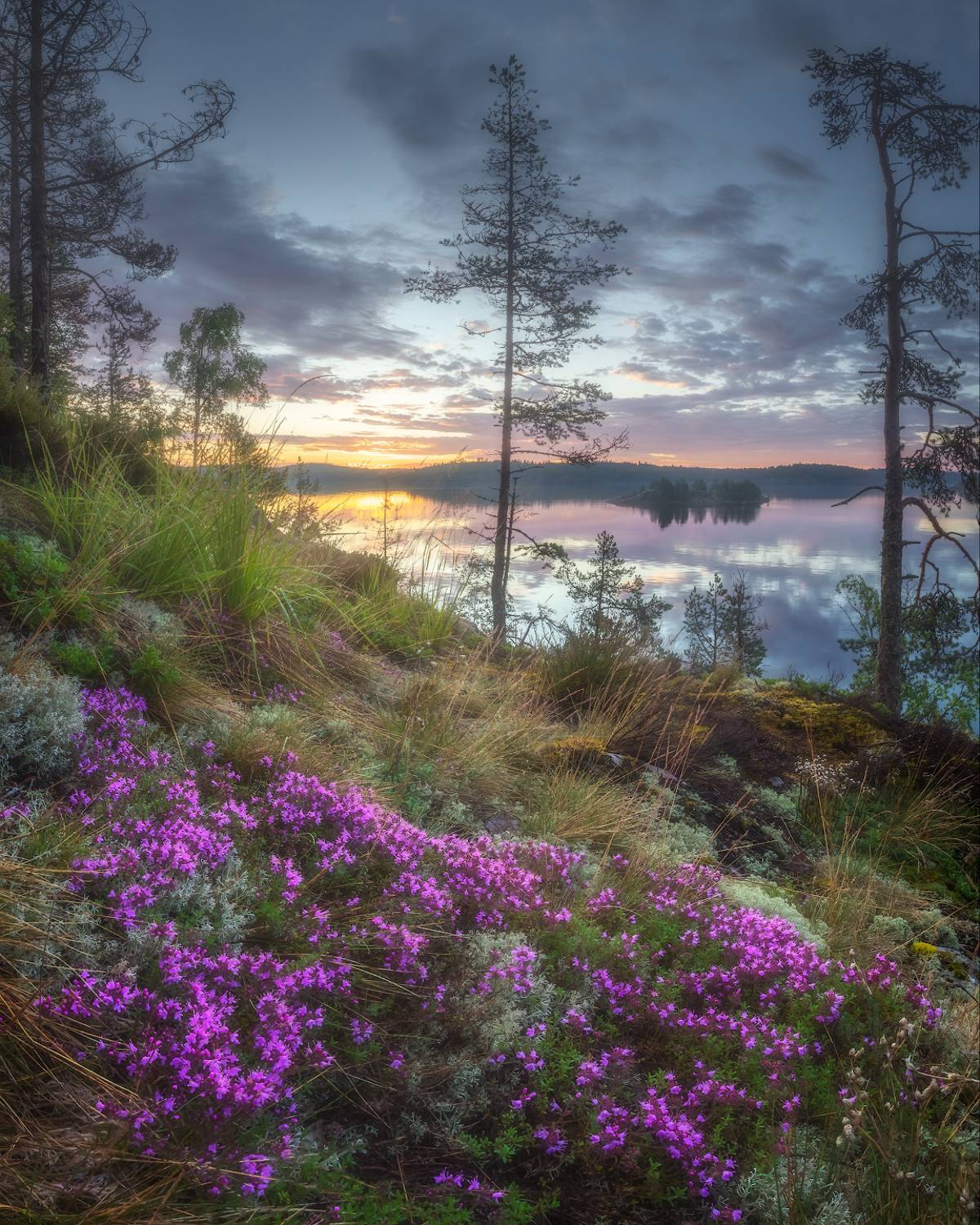 карелия, ладога, шхеры, рассвет, лето, Марголин Алексей