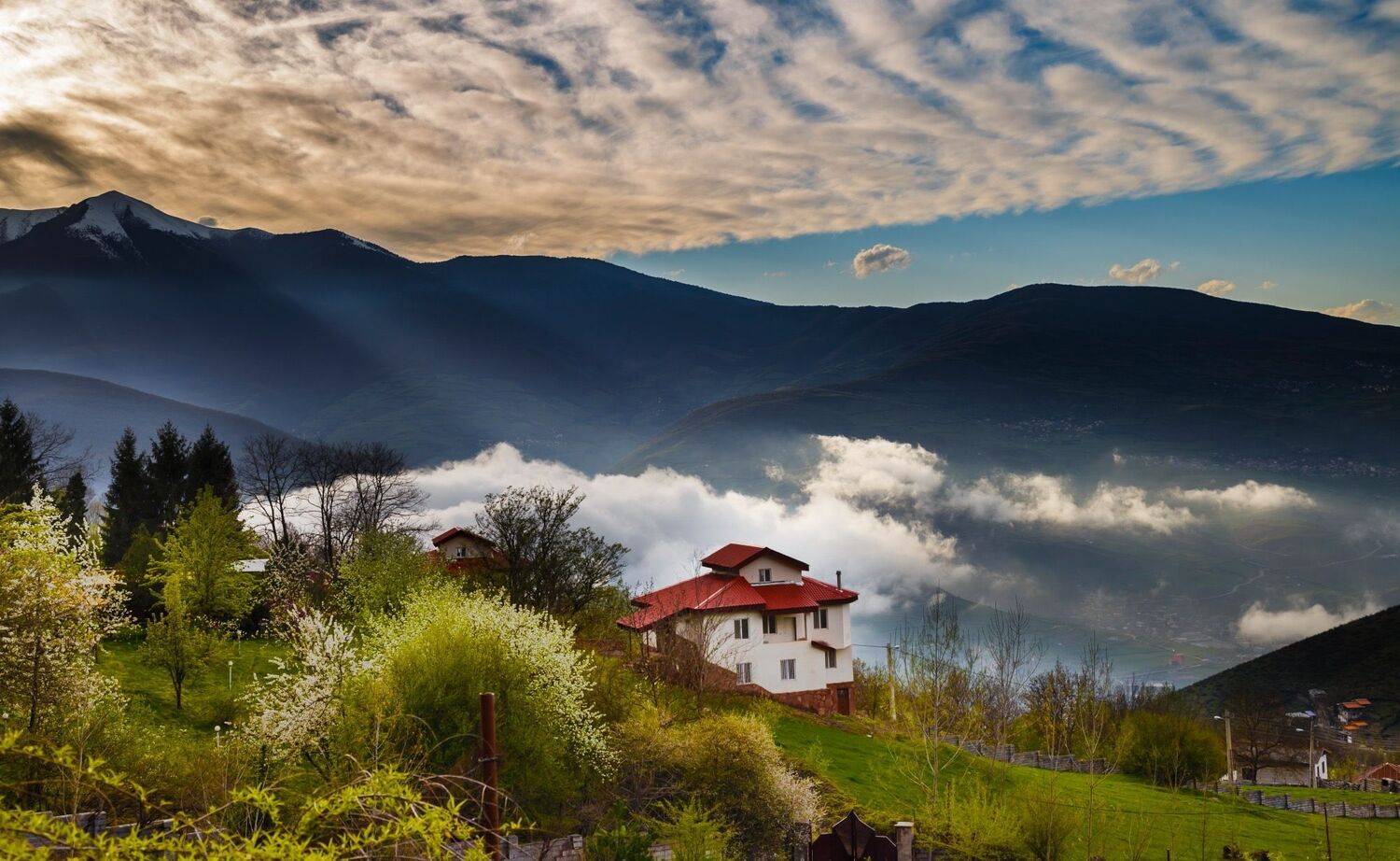 , Saeed Piran