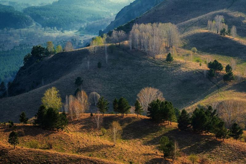 Алтайскими дорожками фото превью