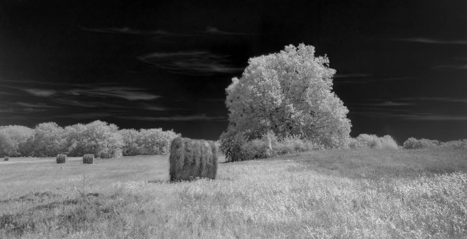 природа, чб, лето, пейзаж, луг, сено, инфракрасное фото, Подосинников Максим