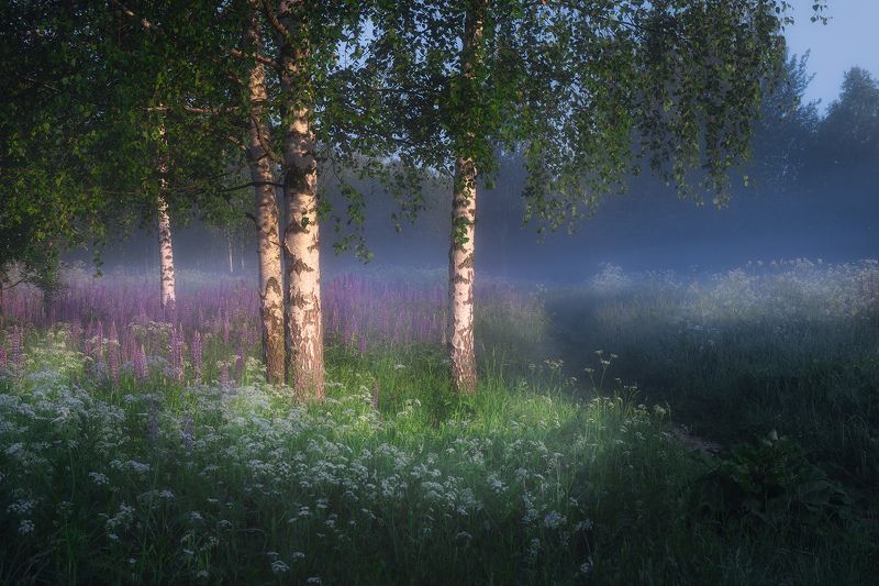 ***** фото превью