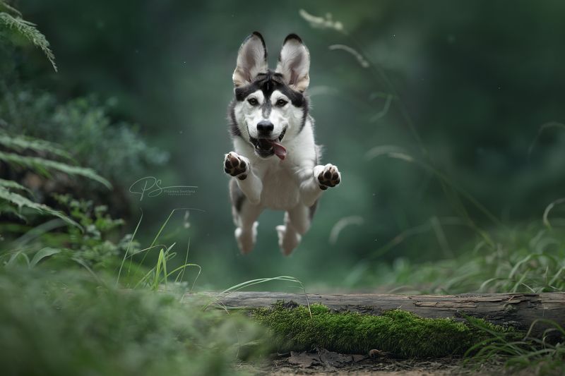 Летящий позитив фото превью