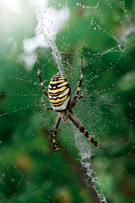После дождя фото превью