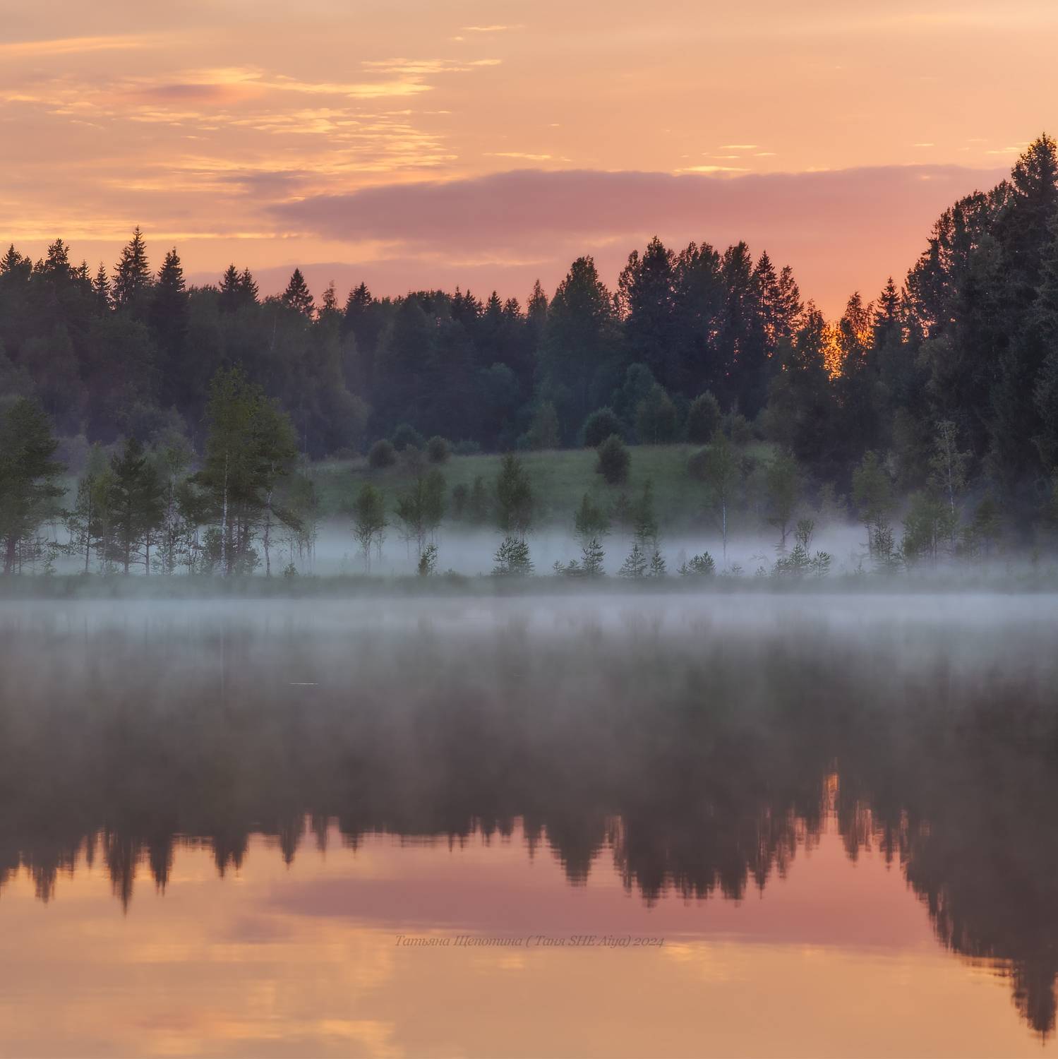 ленобласть, пейзаж, белая ночь, туман, landscape, nature, Щепотина Татьяна