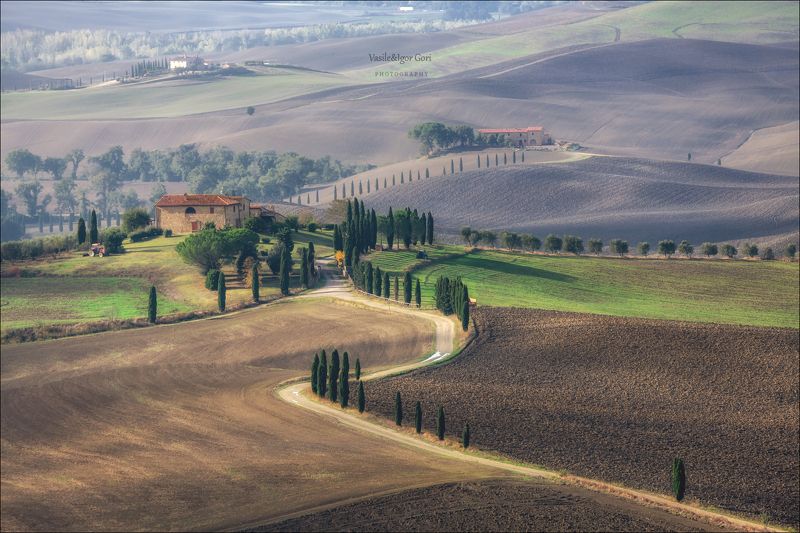 italy,san quirico d\'orcia,italia,италия,тоскана,pienza,кипарис,toscana,осень,tuscany,cipressi,belvedere,пьенца,тени,nature,agriculture,rural \