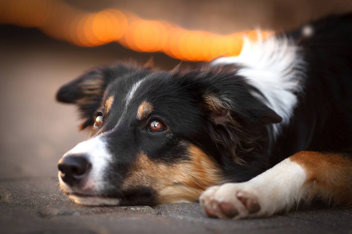 , Евгения Костусева