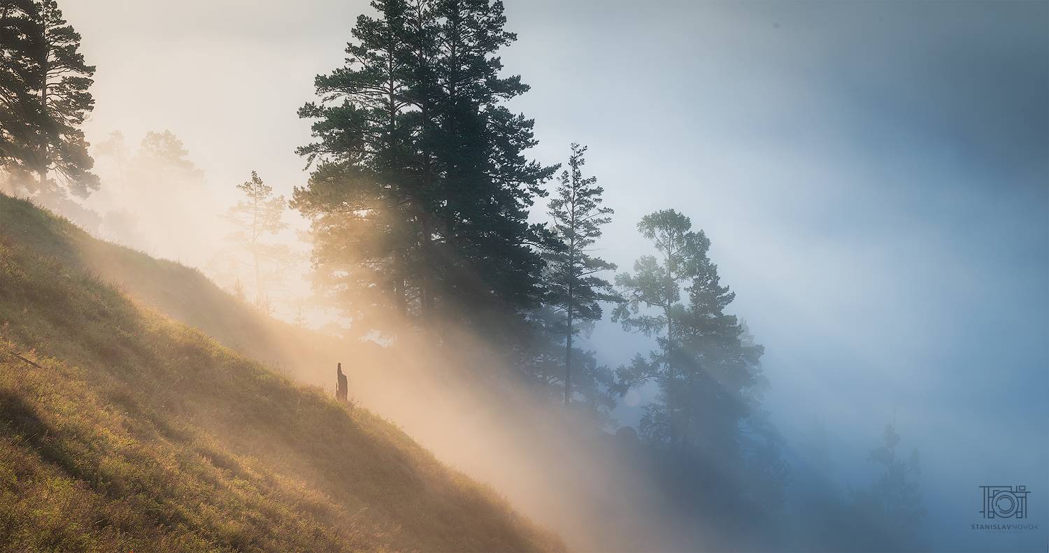 лес, туман, утро, рассвет, лучи, лето, забайкалье, забайкальский край, пейзаж, природа, деревья, сказка, Станислав Новокрещенов