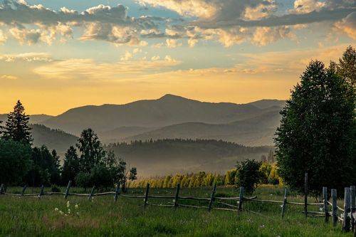Алтай Поселье Серый луг