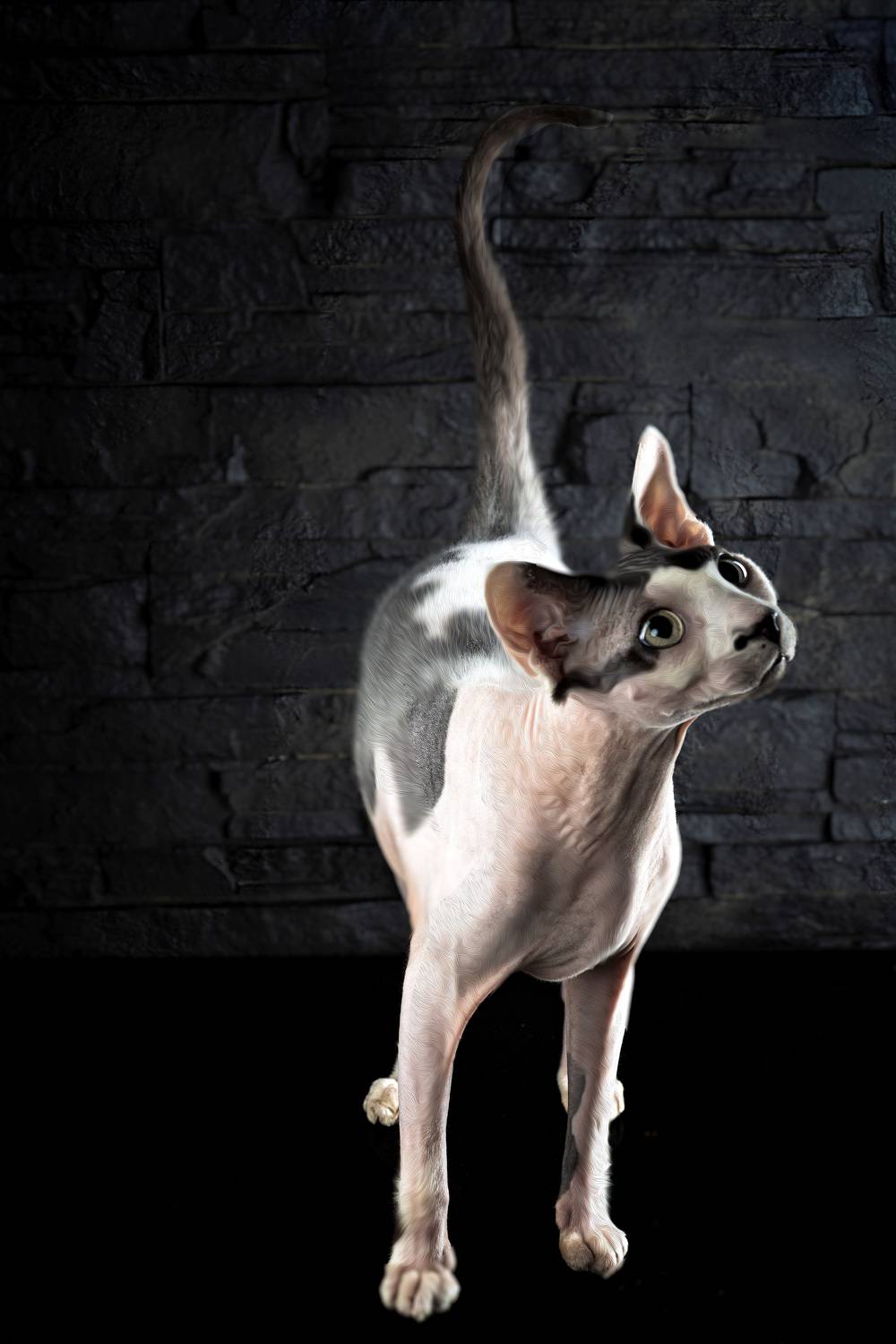 сфинкс , Igor Lukin