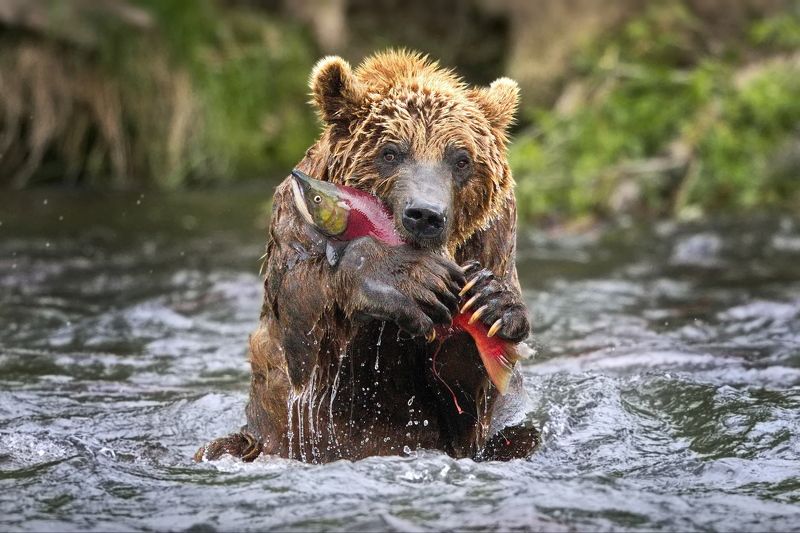 Жизнь удалась! фото превью