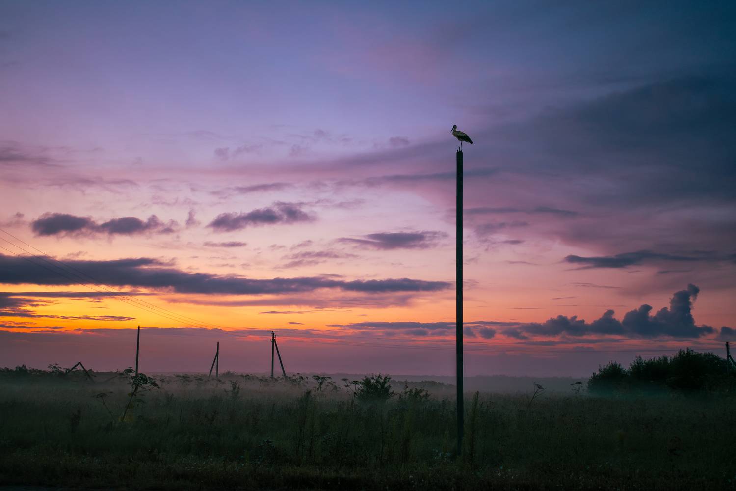 , Лутовкин Артём
