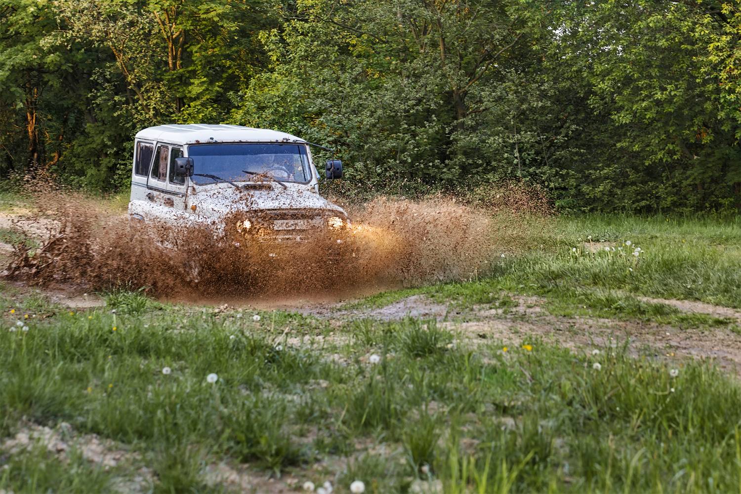 , Шурчков Юрий