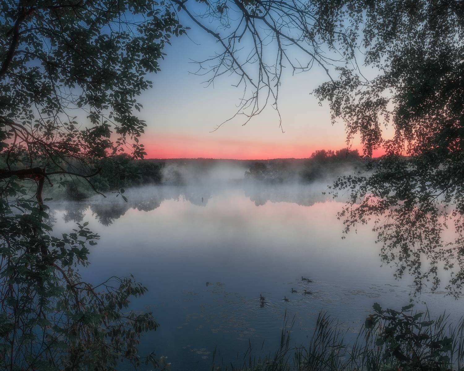 пейзаж, туман, природа, озеро, Московская область, рассвет, Мартыненко Дмитрий