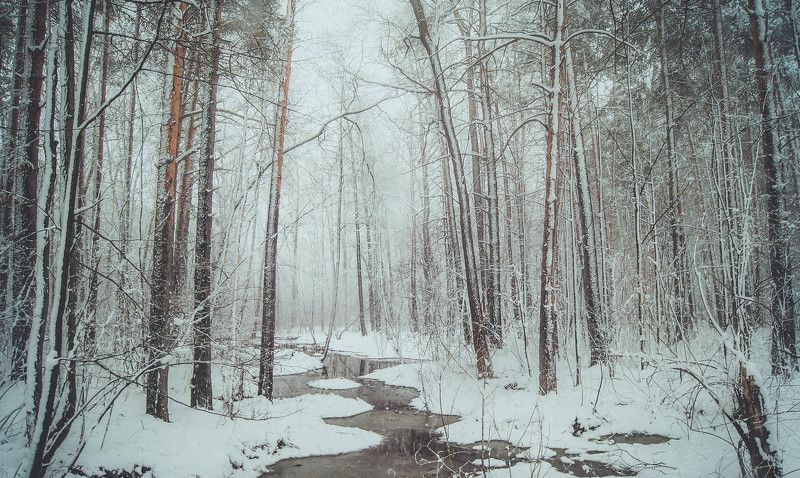 first snow фото превью