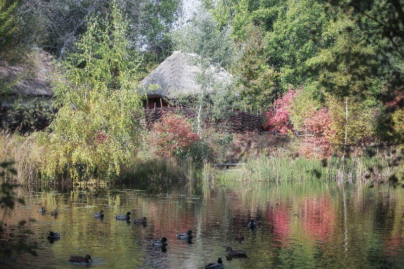 пейзаж *** фото превью