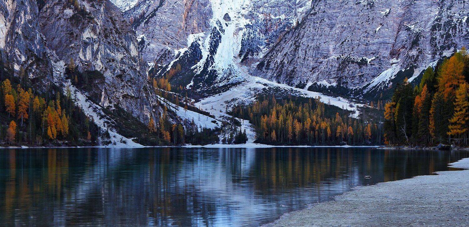 , Игорь Дубровский