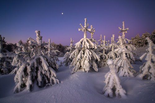 Все за одного