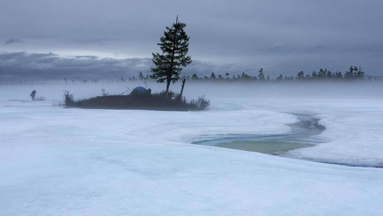 , Сергей Козлов