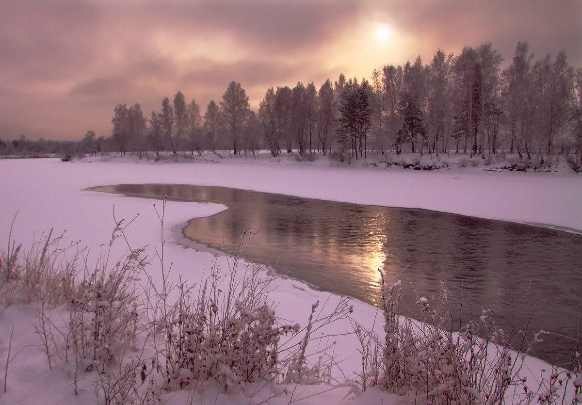 , Николай Морский