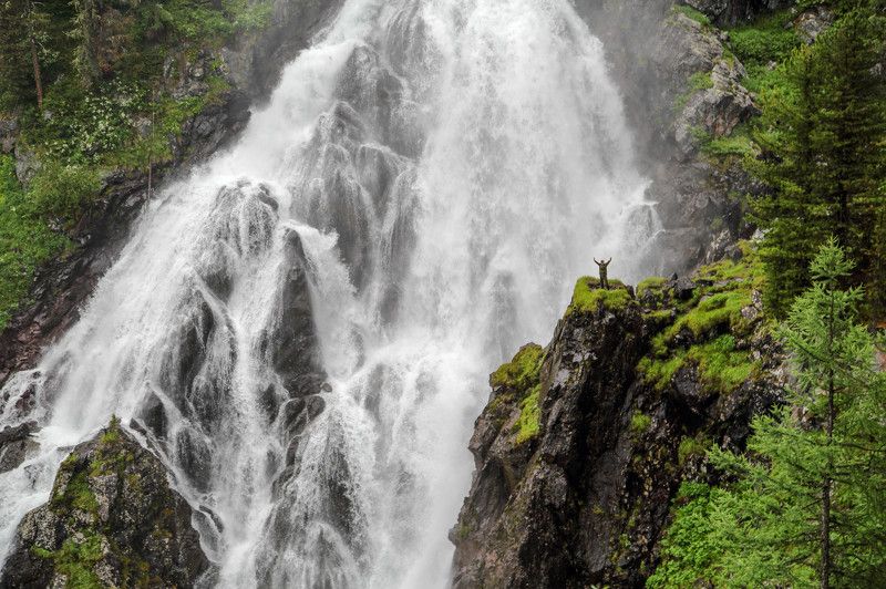 Алтай фото превью